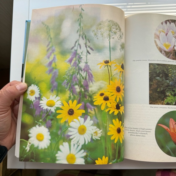 Vintage Chatelaine’s Gardening Book Hardcover 1970 - Picture 6 of 8